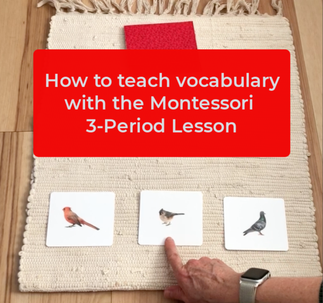 3 Period Lesson 3-period-lesson
