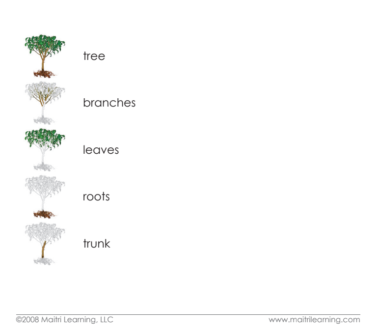 Imperfect Parts of the Tree Definitions - Maitri Learning