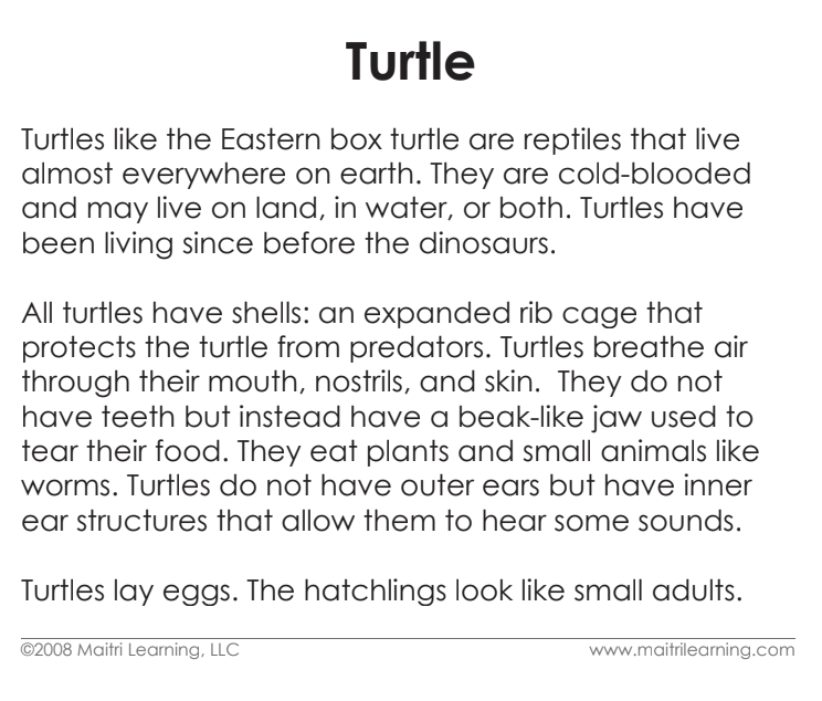 Imperfect Parts of the Turtle Vocabulary - Maitri Learning
