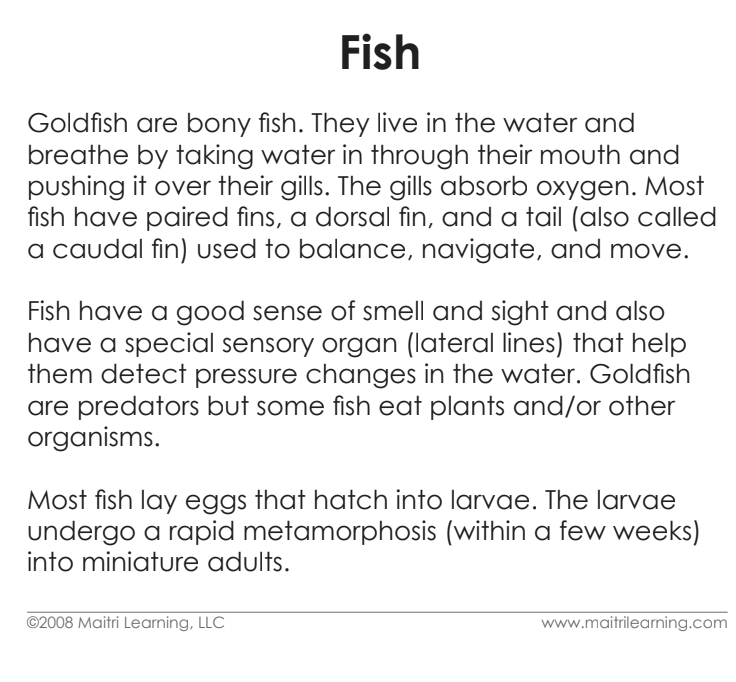 Cardstock Parts of the Fish 3-Part Reading - Maitri Learning