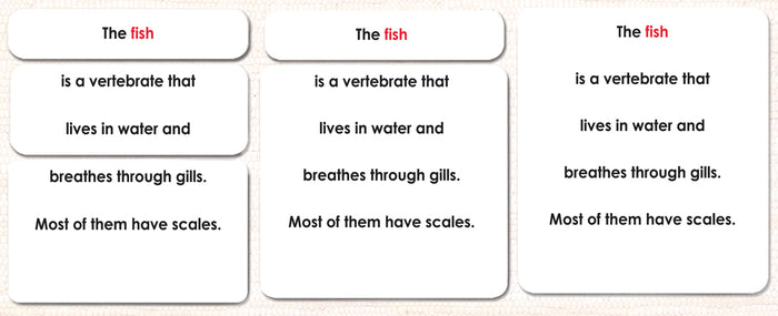 Parts of the Fish Book & Card Set - Maitri Learning
