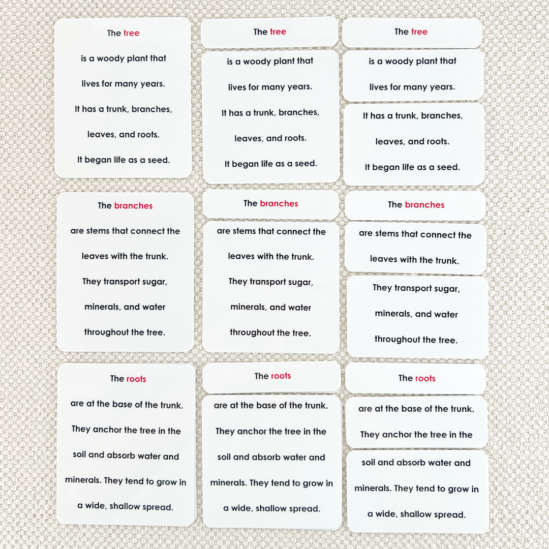 Parts of the Tree Definitions