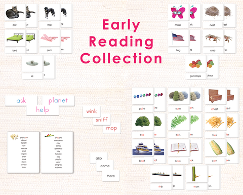 Early Reading (Phonetics/Phonograms) Collection