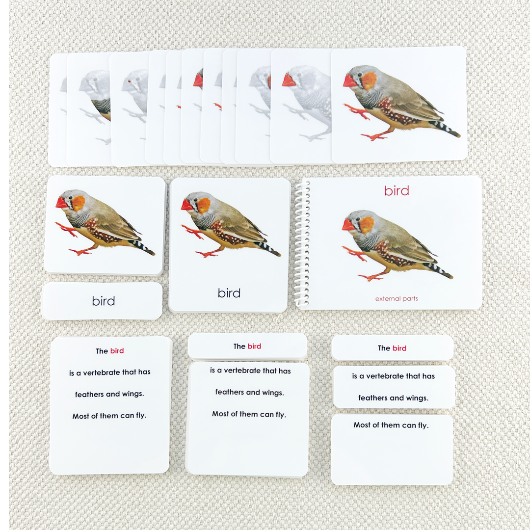 Parts of the Bird Book & Card Set