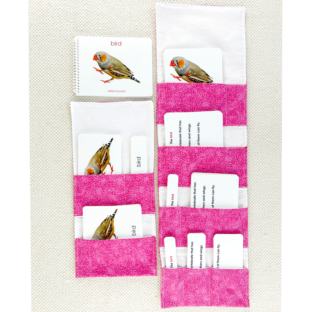 Parts of the Bird Book & Card Set