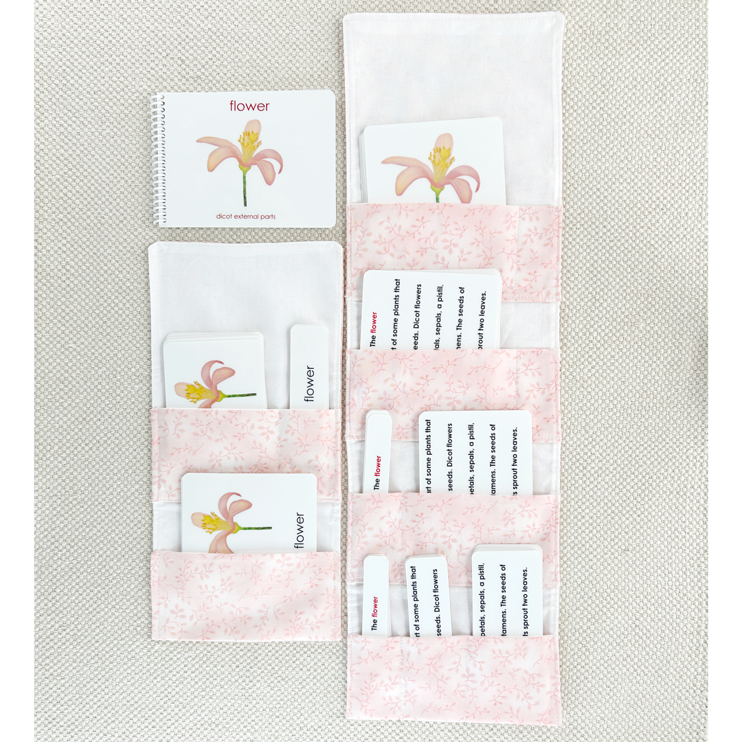 Parts of the Flower (Dicot) Book & Card Set