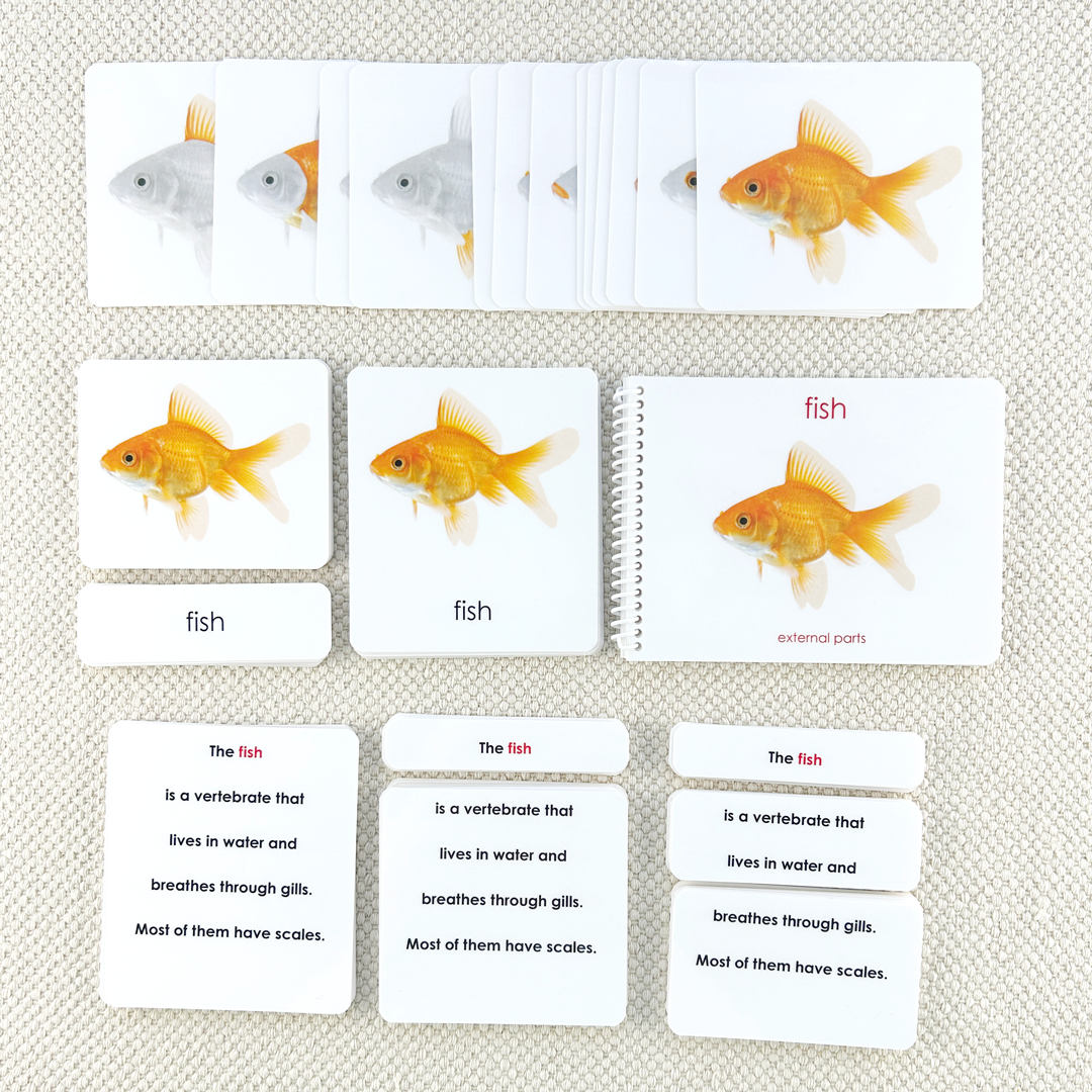 Parts of the Fish Book & Card Set