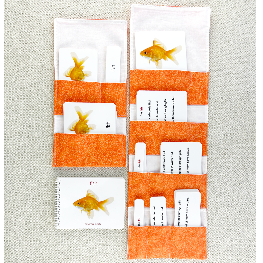 Parts of the Fish Book & Card Set