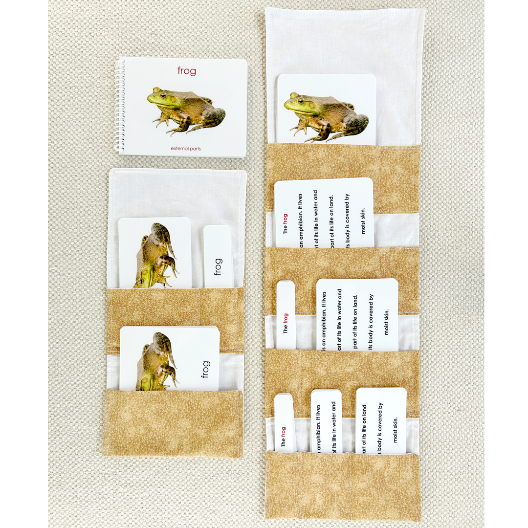 Parts of the Frog Book & Card Set