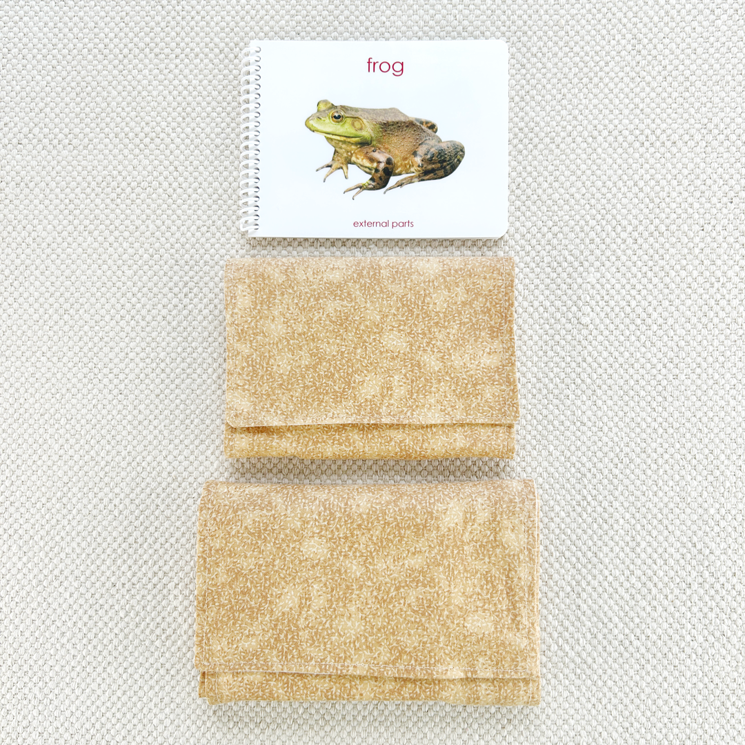 Parts of the Frog Book & Card Set