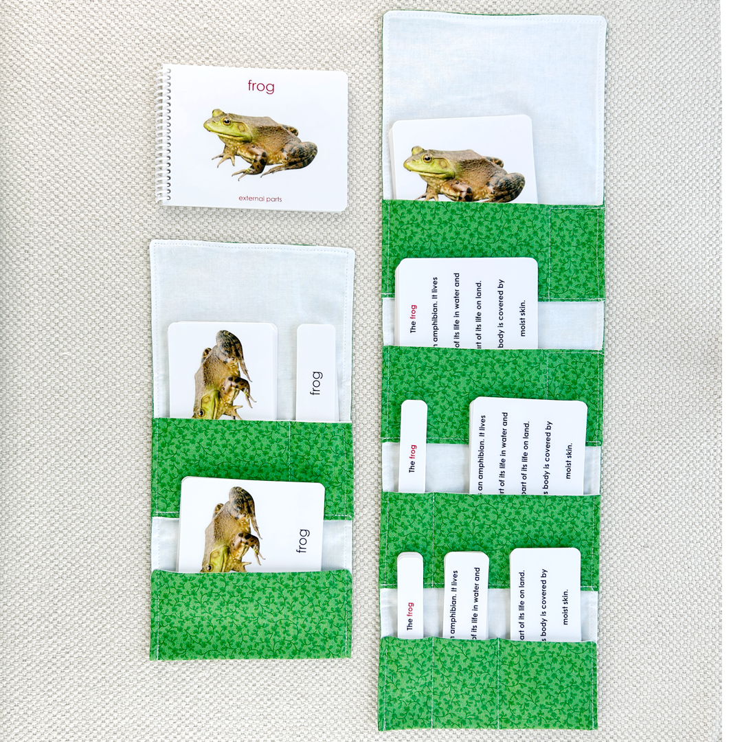 Parts of the Frog Book & Card Set