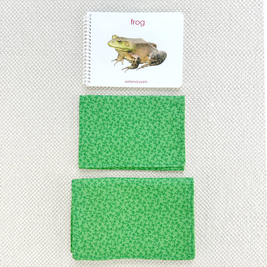 Parts of the Frog Book & Card Set