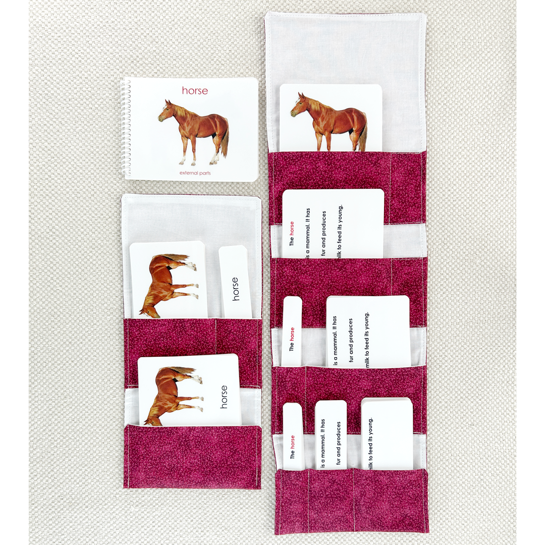 Parts of the Horse Book & Card Set