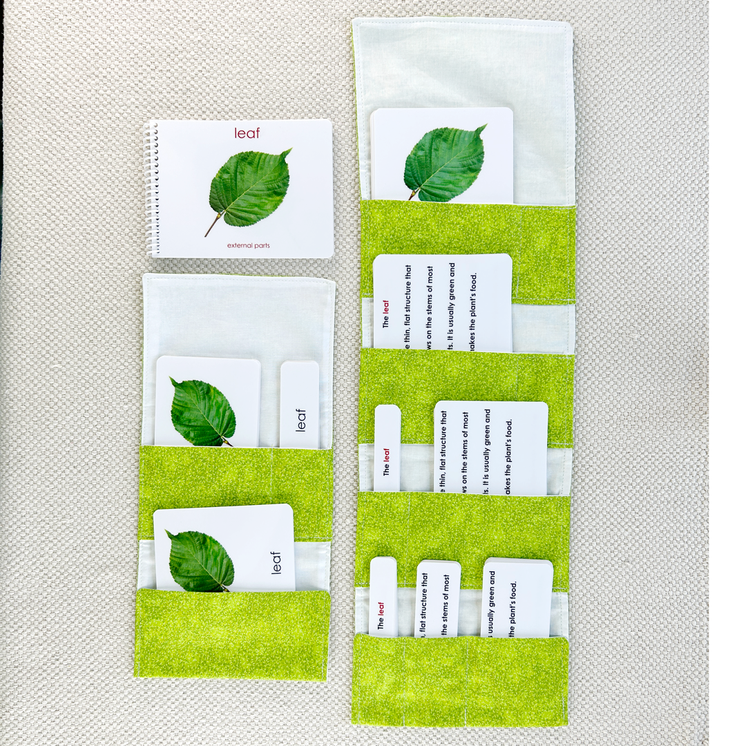 Parts of the Leaf Book & Card Set
