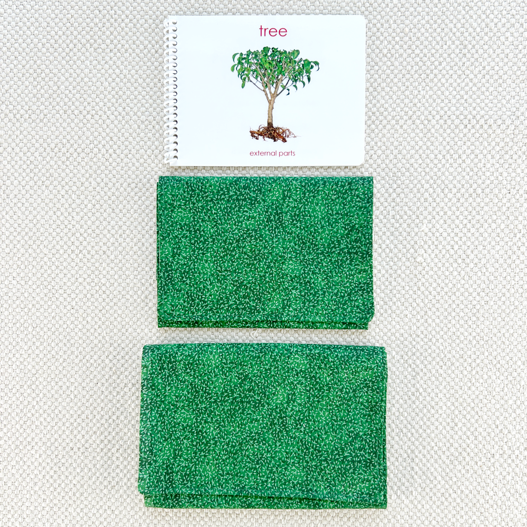Parts of the Tree Book & Card Set