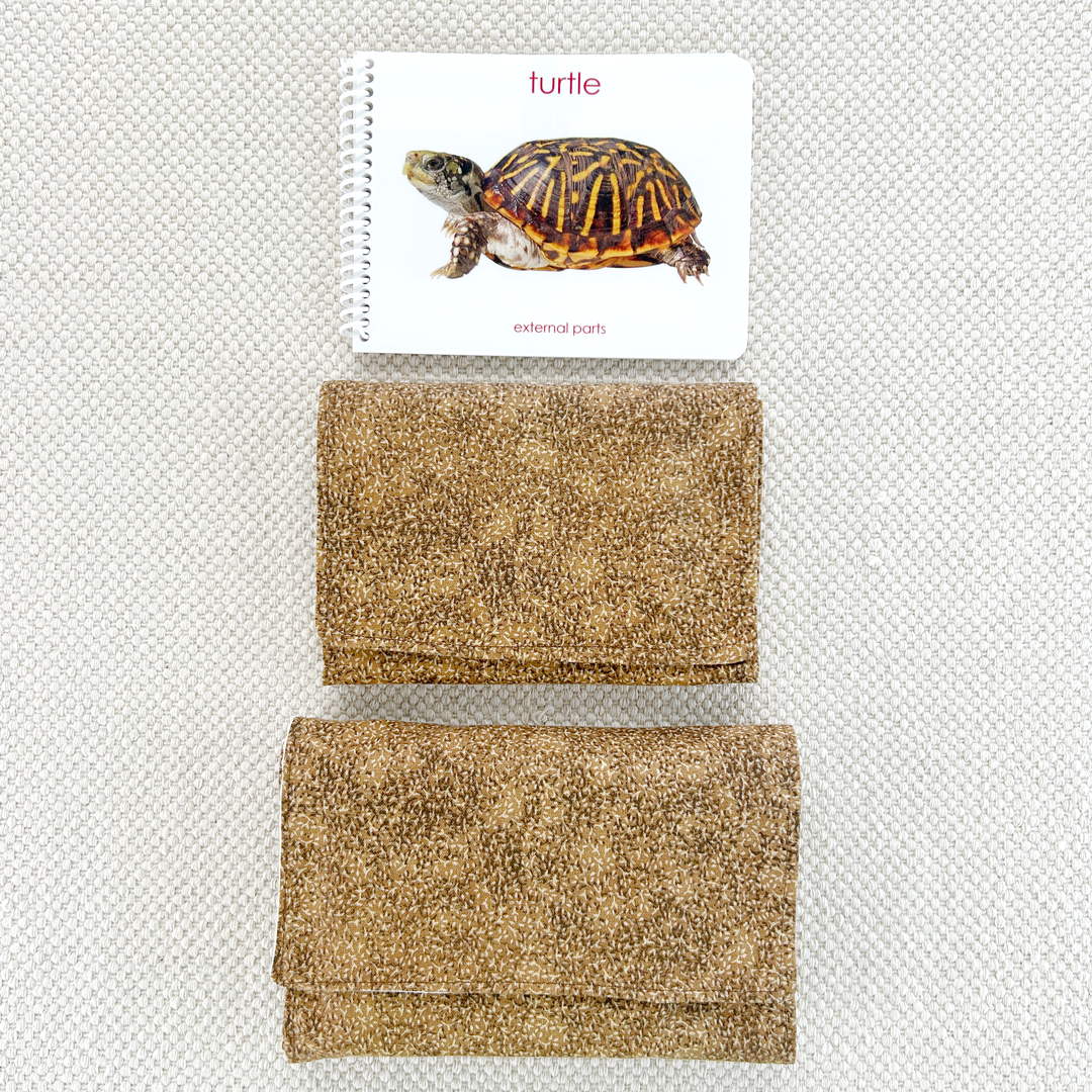 Parts of the Turtle Book & Card Set
