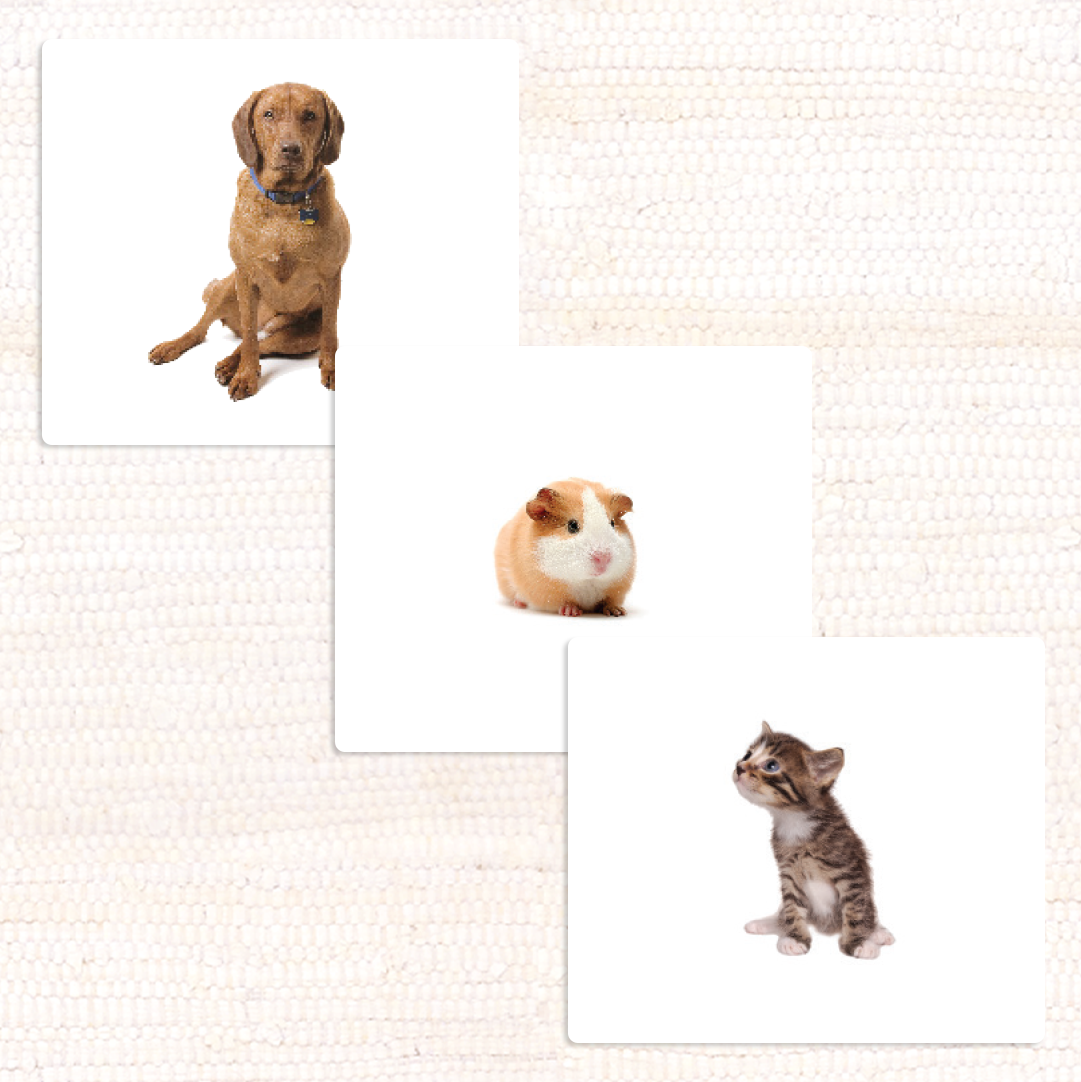 Pets Montessori Vocabulary Cards