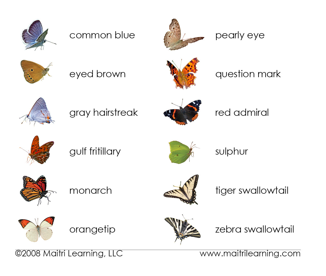 Butterflies Matching - Maitri Learning
