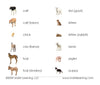 Imperfect Farm Animals (Juvenile) Vocabulary