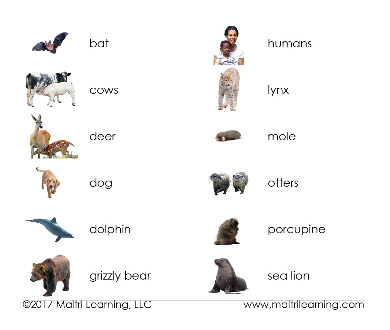 Mammals Matching - Maitri Learning