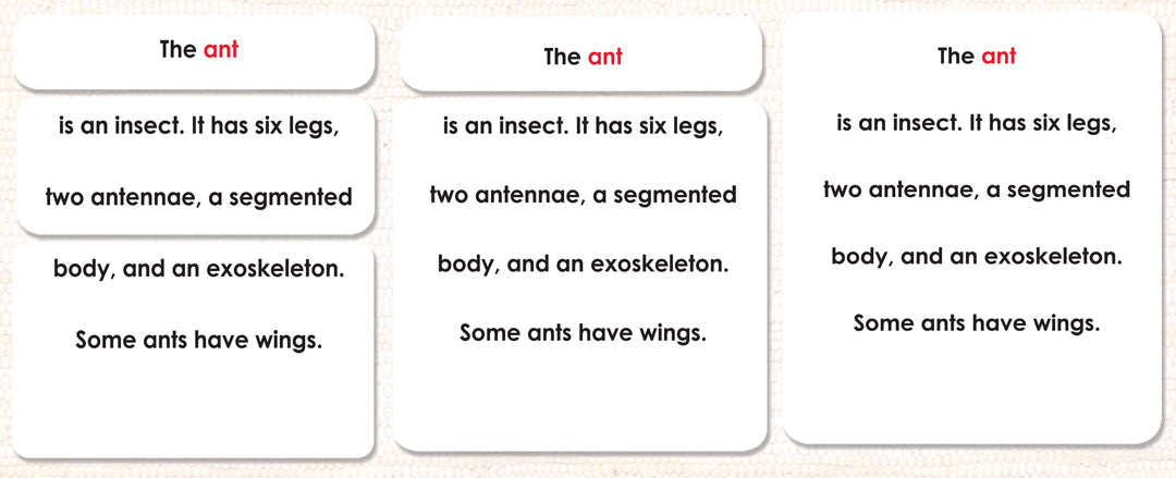 Parts of the Ant Definitions - Maitri Learning