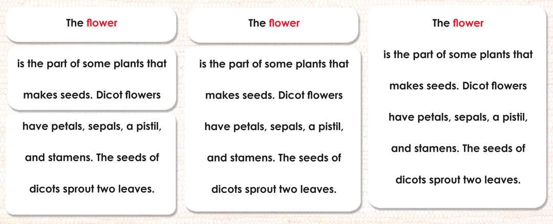Imperfect Parts of the Flower (Dicot) Definitions - Maitri Learning