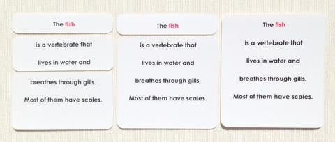 Vertebrates Definition Card Set - Maitri Learning