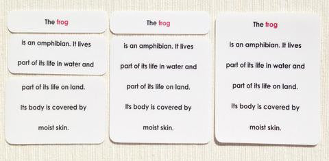 Vertebrates Definition Card Set - Maitri Learning