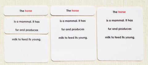 Vertebrates Definition Card Set - Maitri Learning