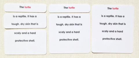 Vertebrates Definition Card Set - Maitri Learning