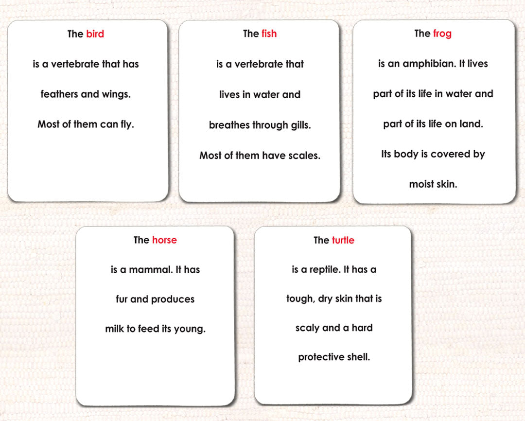 Vertebrates Definition Card Set - Maitri Learning