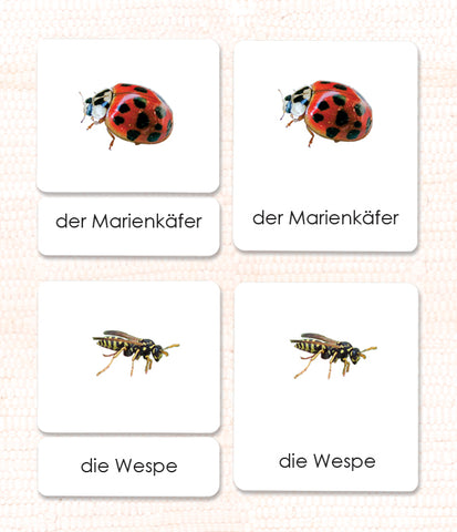 German Insects 3-Part Reading - Maitri Learning