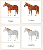 "Parts of" the Horse <p>3-Part Reading - Maitri Learning