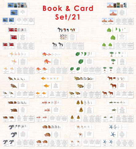 Book & Card Set/21