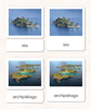 Spanish Land & Water 1 <p>3-Part Cards</p>