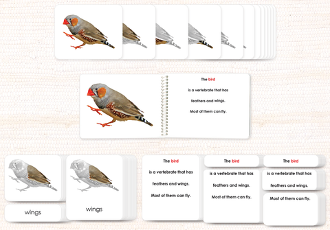 Vertebrates "Parts of" Book & Card Set/5 - Maitri Learning