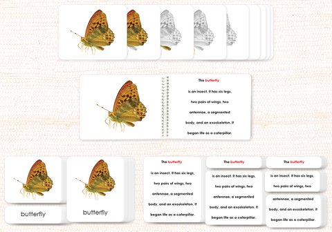 Invertebrates "Parts of" Book & Card Set/5 - Maitri Learning