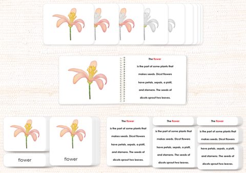 Botany Build-a-Book Bundle - Maitri Learning