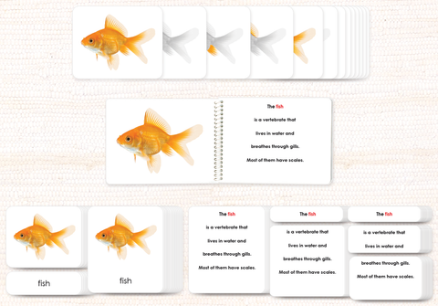 Vertebrates "Parts of" Book & Card Set/5 - Maitri Learning