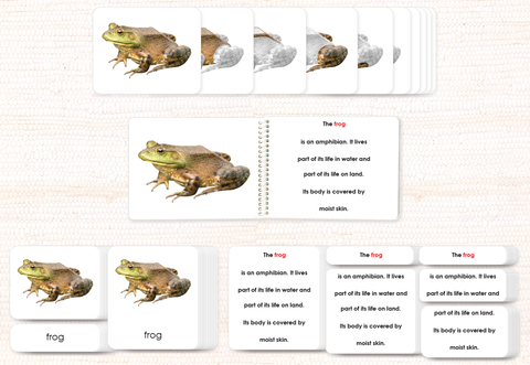 Vertebrates "Parts of" Book & Card Set/5 - Maitri Learning