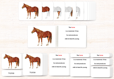 Vertebrates "Parts of" Book & Card Set/5 - Maitri Learning