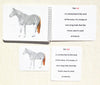 "Parts of" the Horse Book & Card Set - Maitri Learning