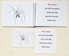 "Parts of" the Spider Book & Card Set - Maitri Learning