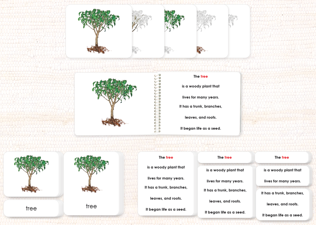 Parts of the Tree Book &amp; Card Set – Maitri Learning