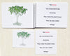"Parts of" the Tree Book & Card Set - Maitri Learning