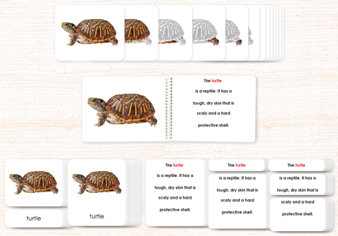 Vertebrates "Parts of" Book & Card Set/5 - Maitri Learning
