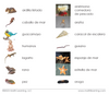 Spanish Invertebrates/Vertebrates Sorting