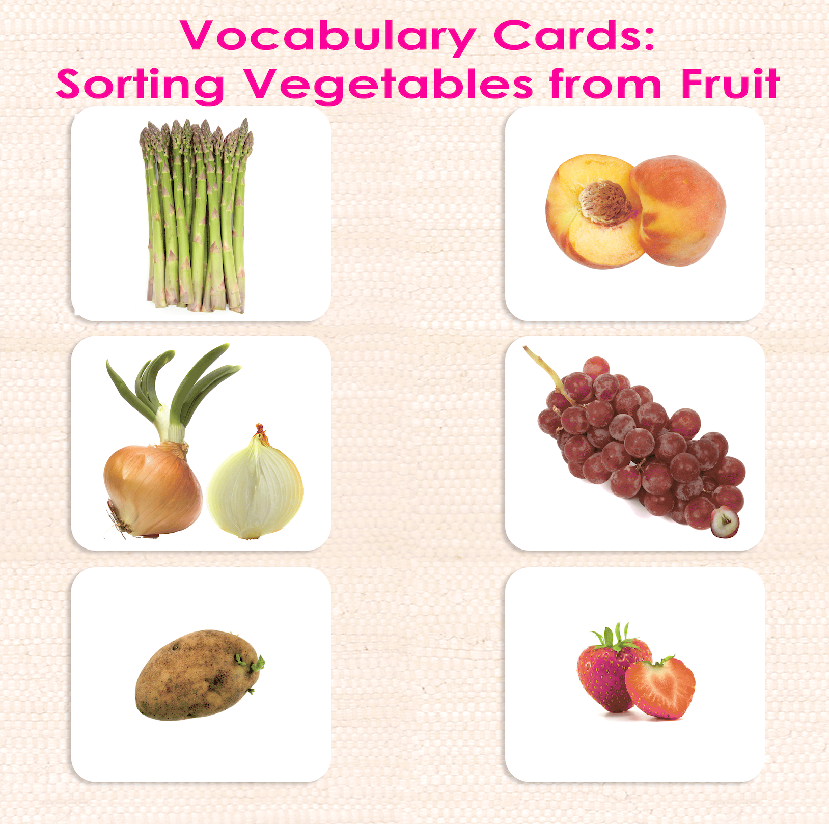 Fruit Vocabulary - Maitri Learning