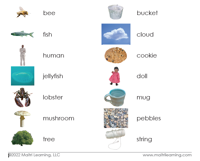 Living/Non-Living Sorting - Maitri Learning