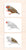 Parts of the Bird Vocabulary